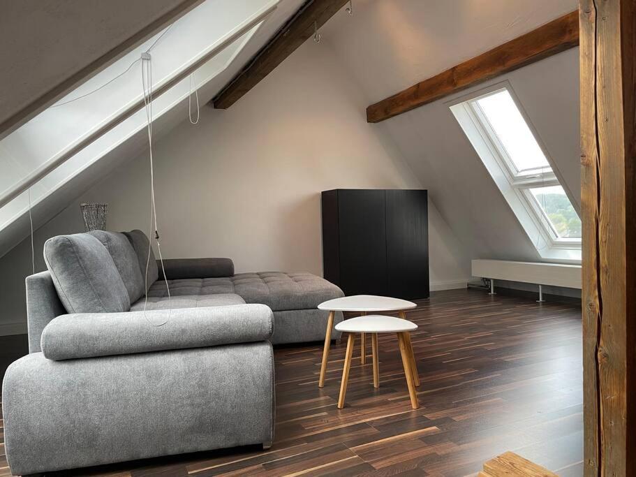 זינסהיים Maisonette Apartment Family & Business Naehe Heidelberg I Kueche I 6 Schlafplaetze מראה חיצוני תמונה