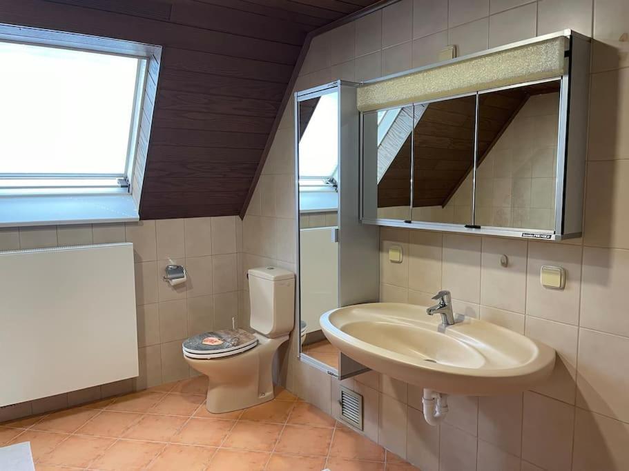 זינסהיים Maisonette Apartment Family & Business Naehe Heidelberg I Kueche I 6 Schlafplaetze מראה חיצוני תמונה